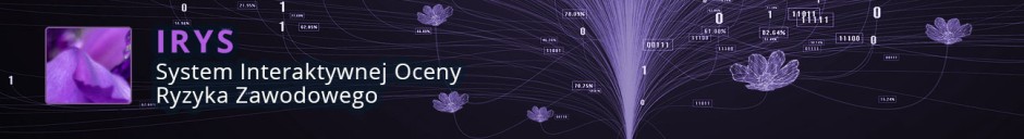 IRYS - System interaktywnej oceny ryzyka zawodowego